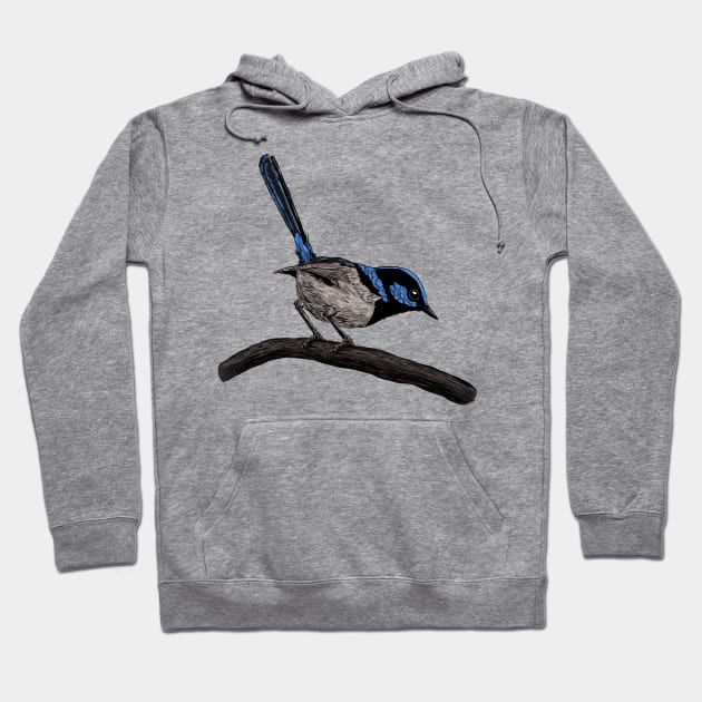 Fairy wren drawing Hoodie by katerinamk